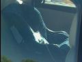 Risks of Hot Cars